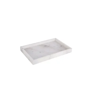 TRAY