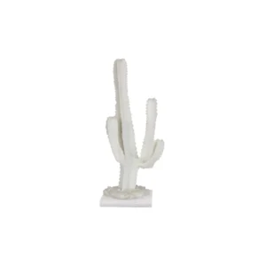 CACTUS DECOR